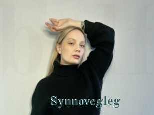 Synnovegleg