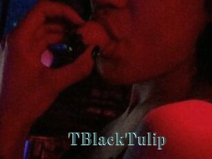 TBlackTulip