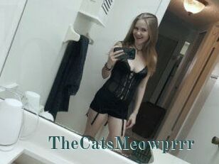 TheCatsMeowprrr