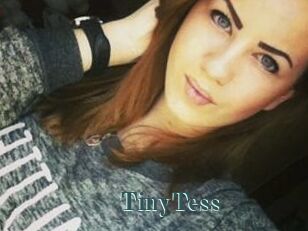 TinyTess
