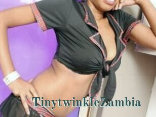 TinytwinkleZambia