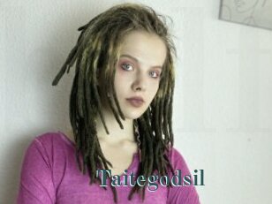 Taitegodsil