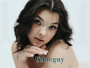 Taiteguy