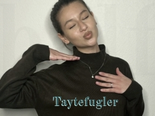 Taytefugler