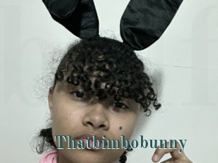 Thatbimbobunny