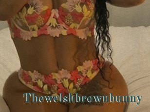 Thewelshbrownbunny