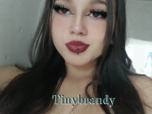 Tinybrandy