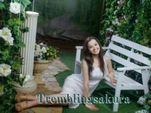 Tremblingsakura