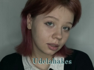 Udelahakes