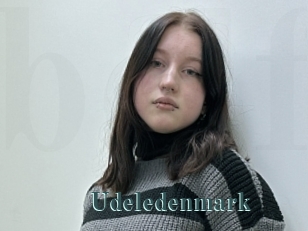 Udeledenmark