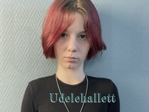 Udelehallett