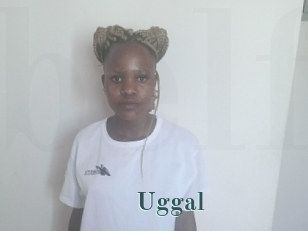 Uggal