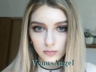 VenusAngel