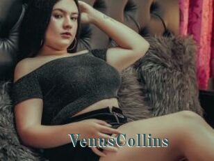 VenusCollins