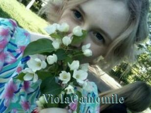 ViolaCamomile