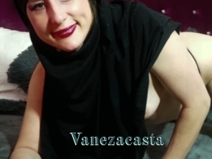 Vanezacasta