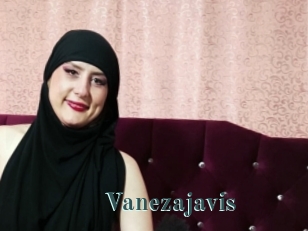 Vanezajavis