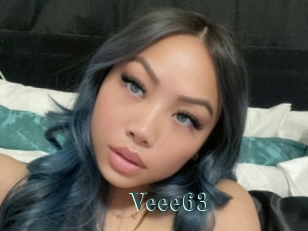 Veee63