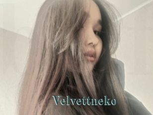 Velvettneko