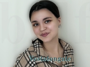 Vestatongate