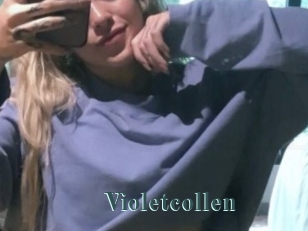 Violetcollen