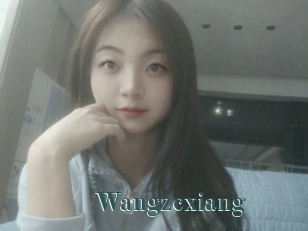 Wangzcxiang