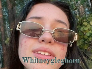 Whitneygleghorn