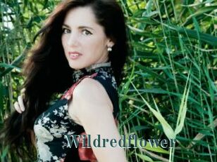 Wildredflower