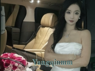 Yangqinmm