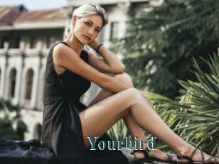 Yourbird