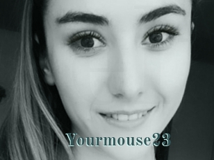 Yourmouse23