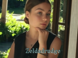 Zeldadrudge